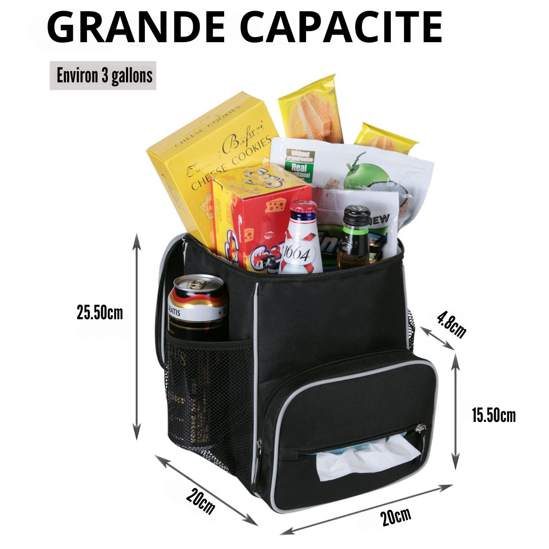 Rangement-coffre-voiture5-Pc3.