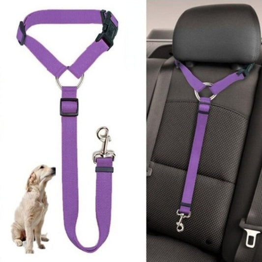 Sécurité Voiture Chien | RAV™